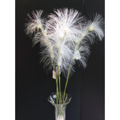 Picture of SQUIRREL TAILS 66CM WHITE
