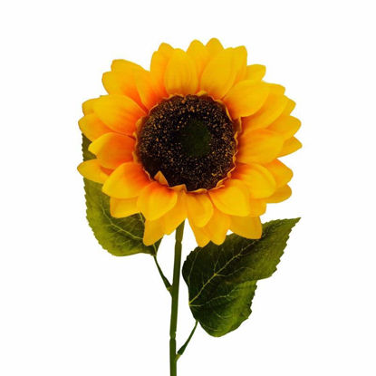 Picture of SUNFLOWER SINGLE STEM 58CM