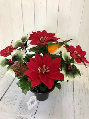 Picture of POINSETTIA ROBIN GRAVEPOT