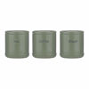 Picture of PRICE & KENSINGTON ACCENTS CANISTERS GREEN