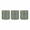 Picture of PRICE & KENSINGTON ACCENTS CANISTERS GREEN