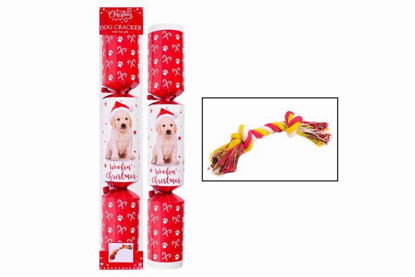 Picture of CHRISTMAS CRACKER PET DOG GOLD