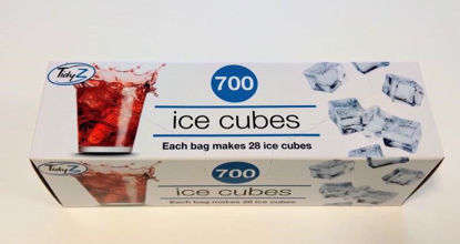 Picture of TIDYZ 28 ICE CUBE FREEZER BAGS