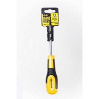 Picture of GLOBE SCREWDRIVER TORX 100MM T20