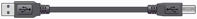 Picture of AVSL USB 2.0 LEAD A-B 1.5M 113004