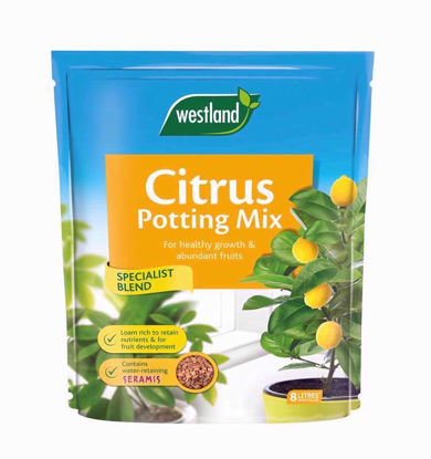 Picture of WESTLAND CITRUS POTTING MIX 8LTR