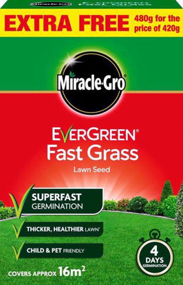 Picture of MIRACLE GRO EVERGREEN FAST GRASS SEED 480G