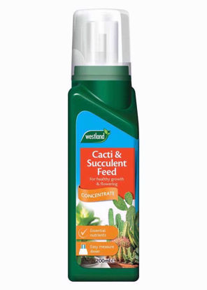 Picture of WESTLAND CACTI & SUCCULENT FEED 200ML