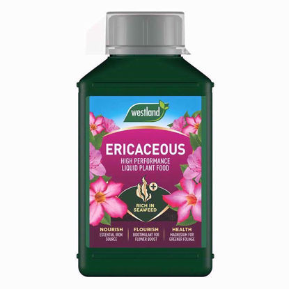 Picture of WESTLAND ERICACEOUS LIQUID FEED 1LTR