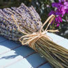 Picture of SMART GARDEN RAFFIA 100GM