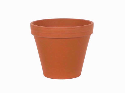 Picture of TERRACOTTA STANDARD POT 10IN