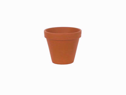 Picture of TERRACOTTA STANDARD POT 5.5IN