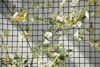 Picture of GARDEN MESH - GREEN 20MM 0.5M X 5M