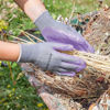 Picture of GLOVES SEED&WEED HEATHER SMALL/SIZE 7