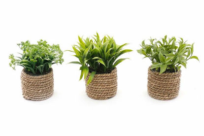 Picture of ARTIFICIAL PLANTS SUCCULENT 14CM