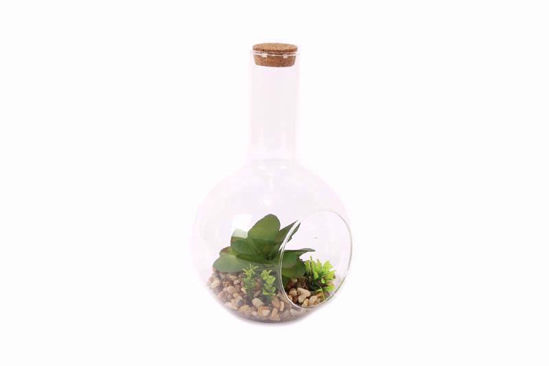 Picture of ARTIFICIAL PLANTS SUCCULENT 19X12CM