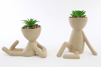 Picture of MAN POT SUCCULENTS 16.8X11CM