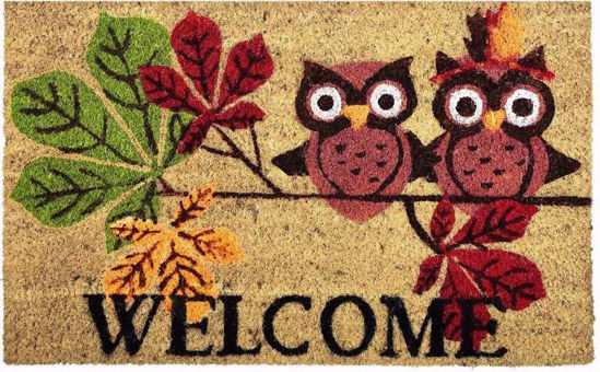 Picture of DOORMAT PVC WELCOME OWL40X60CM