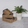 Picture of JVL SEAGRAS BASKET RECT SET3