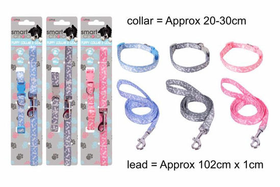 Picture of SMART CHOICE SMALL DOG LEAD/COLLAR SET