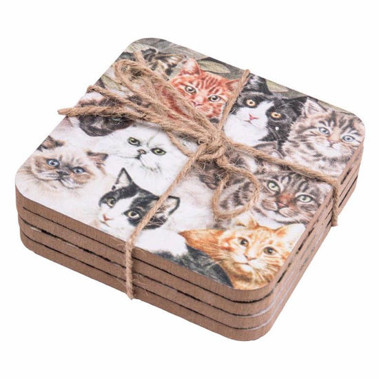 Picture of COASTER CAT SET4