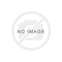 Picture of ENGLISH TABLEWARE CO BEE HAPPY FINE CHINA TEA, COFFEE, MUG